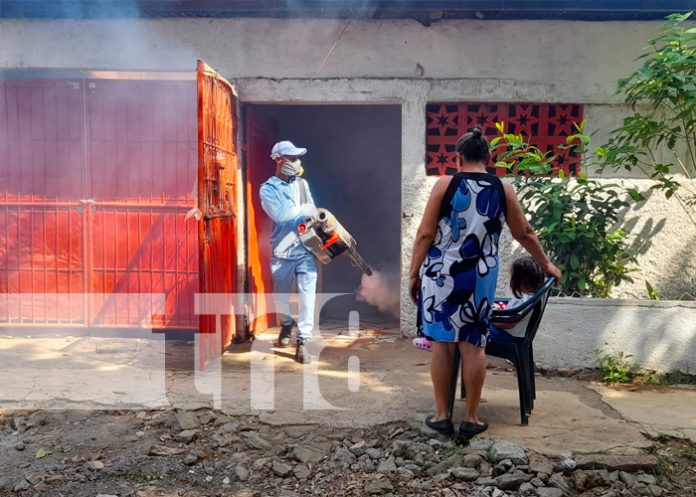 MINSA elimina zancudos en barrio Germán Pomares de Managua