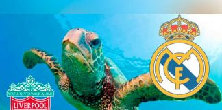 "Yellow" predijo al ganador la Champions League ¿Real Madrid o Liverpool?