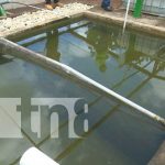 Crianza o cultivo de tilapia en Nicaragua / TN8