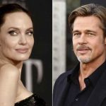 Acusaciones: Brad Pitt señala a su ex esposa de querer dañar Miraval Acusaciones: Brad Pitt señala a su ex esposa de querer dañar su empresa