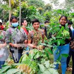 100 mil árboles sembrados es la meta de reforestación en Bluefields