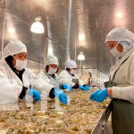 La crianza de camarón; un rubro pujante en Chinandega