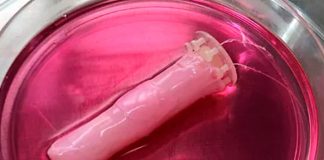 Científicos crean piel humana viva para revestir un robot