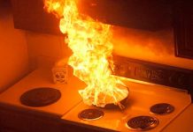 ¡Pobre! Perrito casi incendia su casa en Estados Unidos