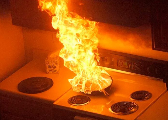 ¡Pobre! Perrito casi incendia su casa en Estados Unidos