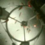 Revelan como luce el ecosistema oculto bajo el hielo de la Antártida