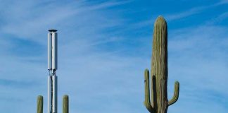 Afirman que los cactus funcionan como antena de banda ancha (WIFI)
