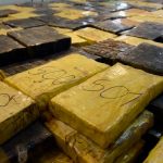 Aseguran en México más de una tonelada de marihuana oculta en camioneta