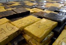 En México incautan más de una tonelada de marihuana oculta en camioneta Aseguran en México más de una tonelada de marihuana oculta en camioneta