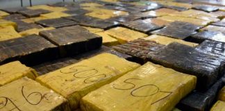 Aseguran en México más de una tonelada de marihuana oculta en camioneta
