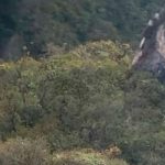 Seis muertos deja accidente aéreo en Venezuela