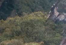 Seis muertos deja accidente aéreo en Venezuela