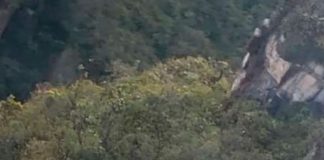 Seis muertos deja accidente aéreo en Venezuela