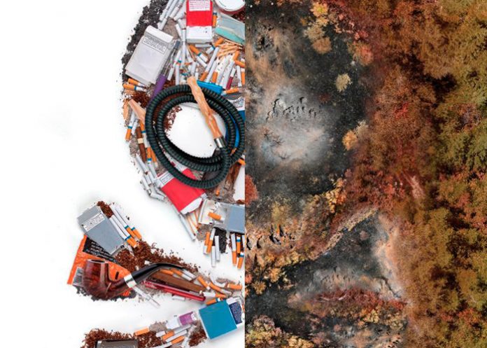 El tabaco es dañino para la salud y el planeta