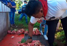 Nicaragua: 43 años de Sócrates Espinoza Muñoz Nicaragua: 43 años de Sócrates Espinoza Muñoz