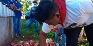 Nicaragua: 43 años de Sócrates Espinoza Muñoz