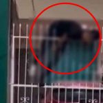Por ladrón: Sujeto queda ensartado en rejillas ¡VIDEO! Por ladrón: Sujeto queda ensartado en rejillas ¡VIDEO!