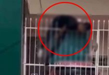 Por ladrón: Sujeto queda ensartado en rejillas ¡VIDEO! Por ladrón: Sujeto queda ensartado en rejillas ¡VIDEO!