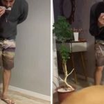 Viral: Joven hace bailar a su perro con armónica