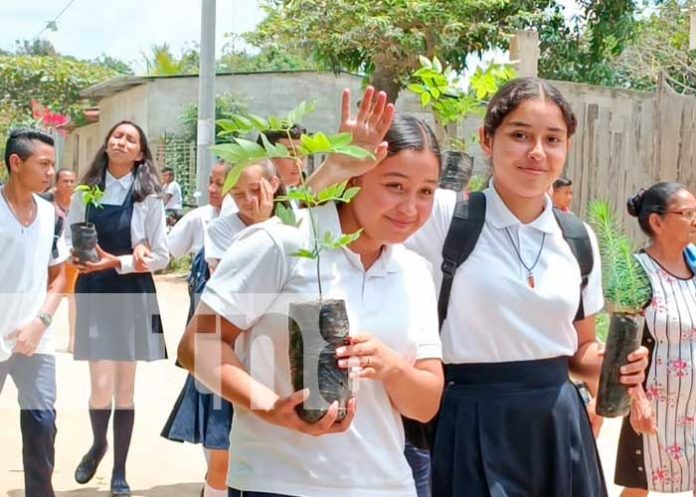 Jalapa participará de la Jornada Nacional de Reforestación