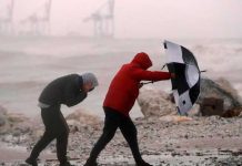 Blas en México: De tormenta tropical a Huracán de categoría 1 Blas en México: De tormenta tropical a Huracán de categoría 1