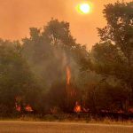 ¡España en llamas! Ola de calor provoca incendios ¡España en llamas! Ola de calor provoca incendios