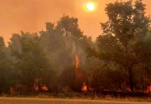 ¡España en llamas! Ola de calor provoca incendios ¡España en llamas! Ola de calor provoca incendios