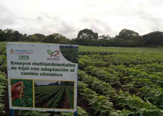 2 Recorrido por Centro Nacional de Investigación en Frijol