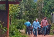 Indignación en El Sauce por ataque de 15 perros