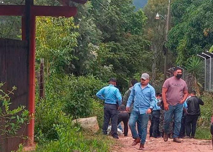 Indignación en El Sauce por ataque de 15 perros