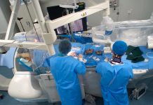 Sin perforar el cráneo logran implantar sensor cerebral en un animal Científicos chinos implantan un sensor cerebral en animal