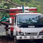 Un árbol cae sobre un camión y deja dos lesionados en Chontales Un árbol cae sobre un camión y deja dos lesionados en Chontales
