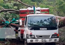 Un árbol cae sobre un camión y deja dos lesionados en Chontales