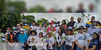 Nicaragua: Siembran árboles conmemorando los 120 años de fundación de la OPS
