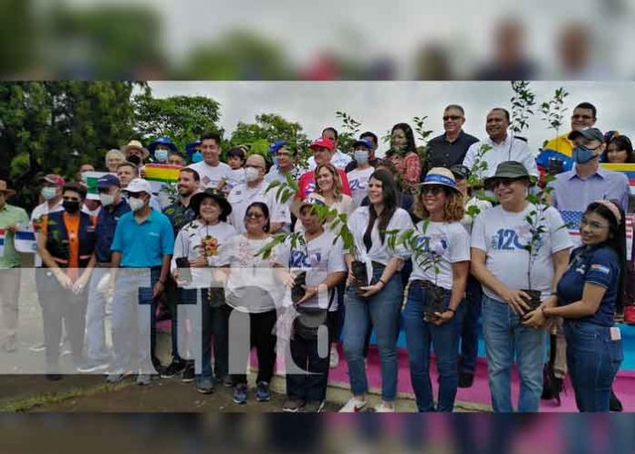 Nicaragua: Siembran árboles conmemorando los 120 años de fundación de la OPS