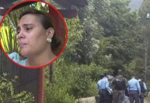 Dueña niega que sus perros mataran a un hombre en El Sauce, Honduras Dueña niega que sus perros mataran a un hombre en El Sauce, Honduras