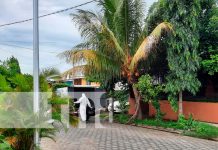 Encuentran cadáver en estado de descomposición en una urbanización de Managua