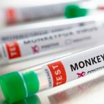 OMS contabiliza más de 3.400 casos de viruela del mono en 50 países 3,400 casos de viruela en lo que va del año según OMS