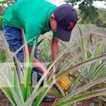 Carreteras técnicas del INATEC son muy exitosas en Río San Juan