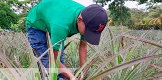 Carreteras técnicas del INATEC son muy exitosas en Río San Juan