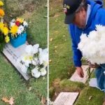 Lloraron por su abuela fallecida, aunque se trataba de la tumba equivocada Lloraron por su abuela fallecida, aunque se trataba de la tumba equivocada