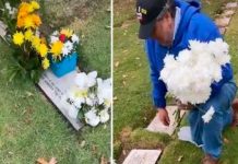 Lloraron por su abuela fallecida, aunque se trataba de la tumba equivocada Lloraron por su abuela fallecida, aunque se trataba de la tumba equivocada