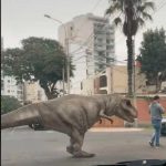 Viral: Un «dinosaurio» se pasea por las calles de Perú causando asombro Un "dinosaurio" se pasea por las calles de Perú causando asombro
