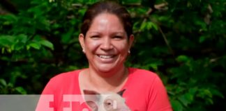 Actividad porcina en Nicaragua avanza por buen camino