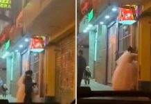 Recién casados celebran luna de miel en el hostal de la esquina Recién casados celebran luna de miel en el hostal de la esquina