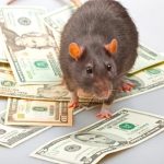 «Tremenda rata»: Destruyó los ahorros de una mujer en Perú “Mis ahorros”: Llora de impotencia una mujer en Perú