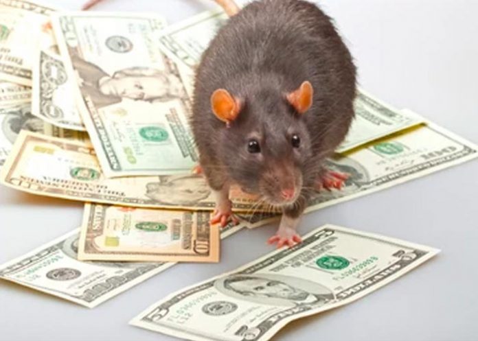 “Mis ahorros”: Llora de impotencia una mujer en Perú