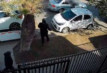 Joven de 15 años usa el carro de su abuelo para realizar robo millonario