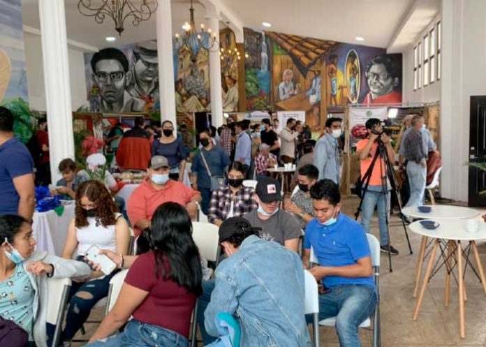 CAFE-3 Fortaleciendo la gestión de calidad