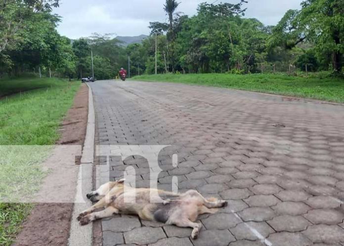 CHON-1 Accidente de tránsito deja a motociclista lesionado en Chontales